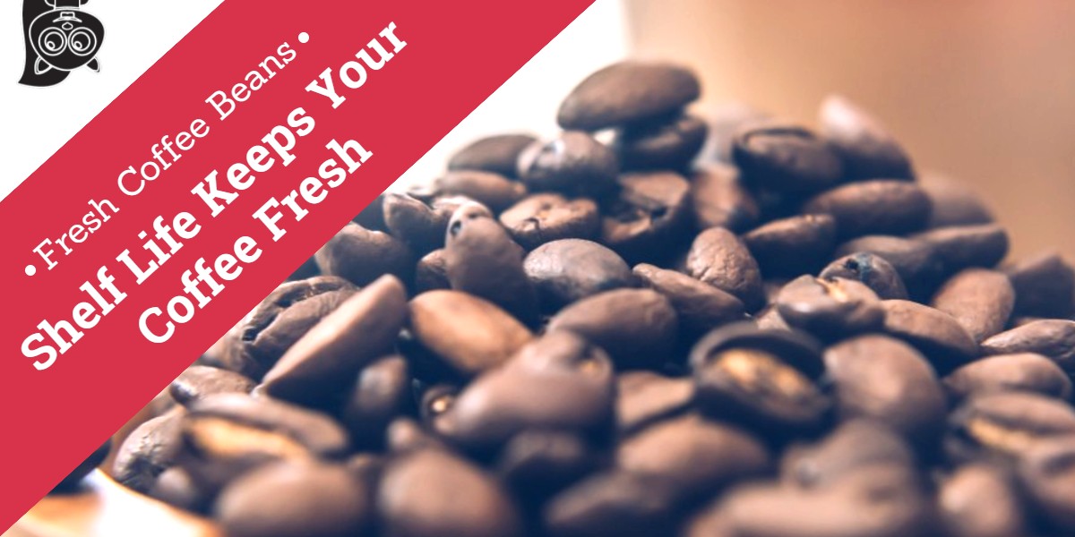 Fresh Coffee Beans ShelfLife Keeps Your Coffee Fresh! Koffee Kult
