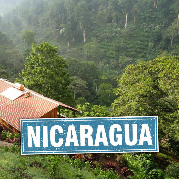 Nicaragua coffee farm