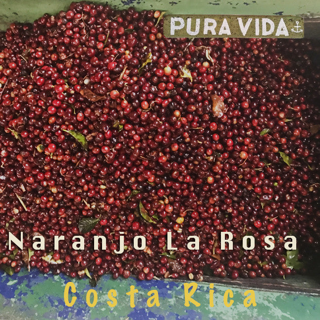 La Roast Coffee cherries
