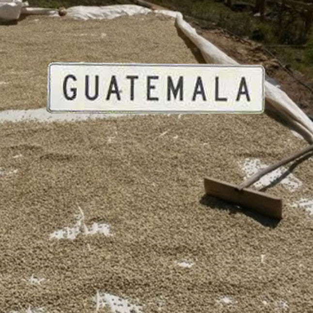 Guatemala Coffee logo