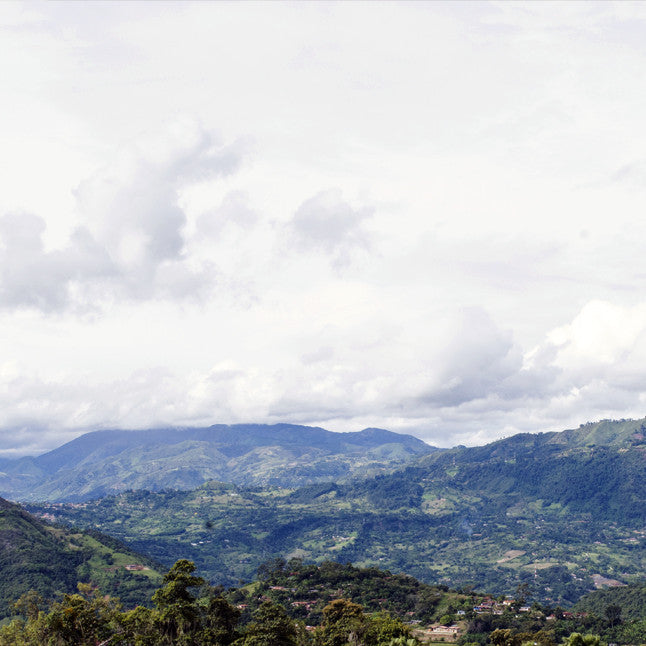 colmbia coffee mountians
