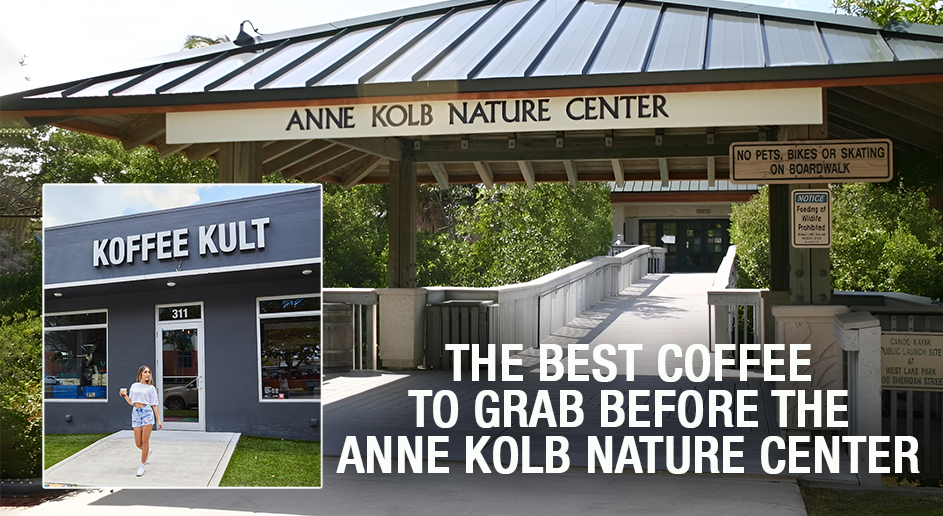 The Best Coffee to Grab Before the Anne Kolb Nature Center