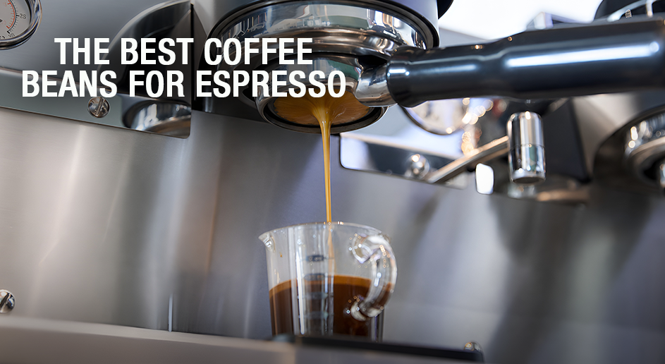 The Best Coffee Beans for Espresso in 2026