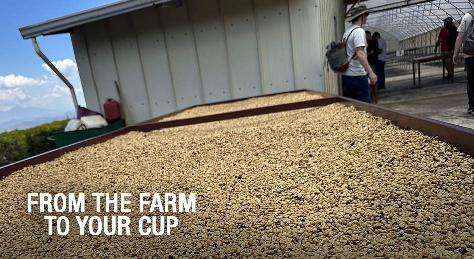 From the Farm to Your Cup Blog Feature