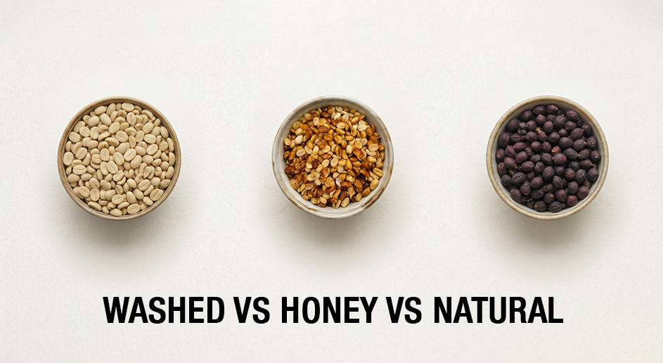 Honey Process vs. Natural vs. Washed Coffee: What’s the Difference?