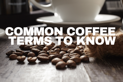 Common Coffee Terms to Know