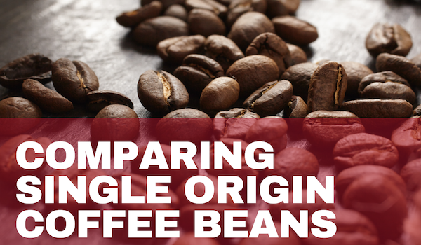 Comparing Single Origin Coffee Beans