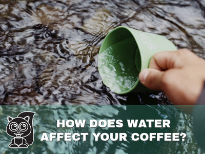 How Does Water Affect Your Coffee?