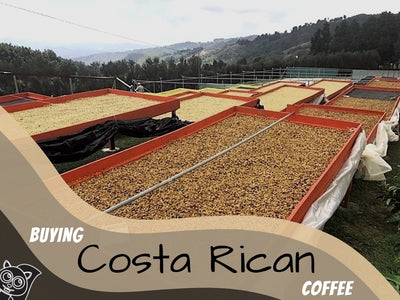Buying Coffee from Costa Rica