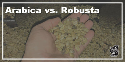 Arabica vs. Robusta