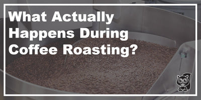 What Actually Happens During Coffee Roasting?