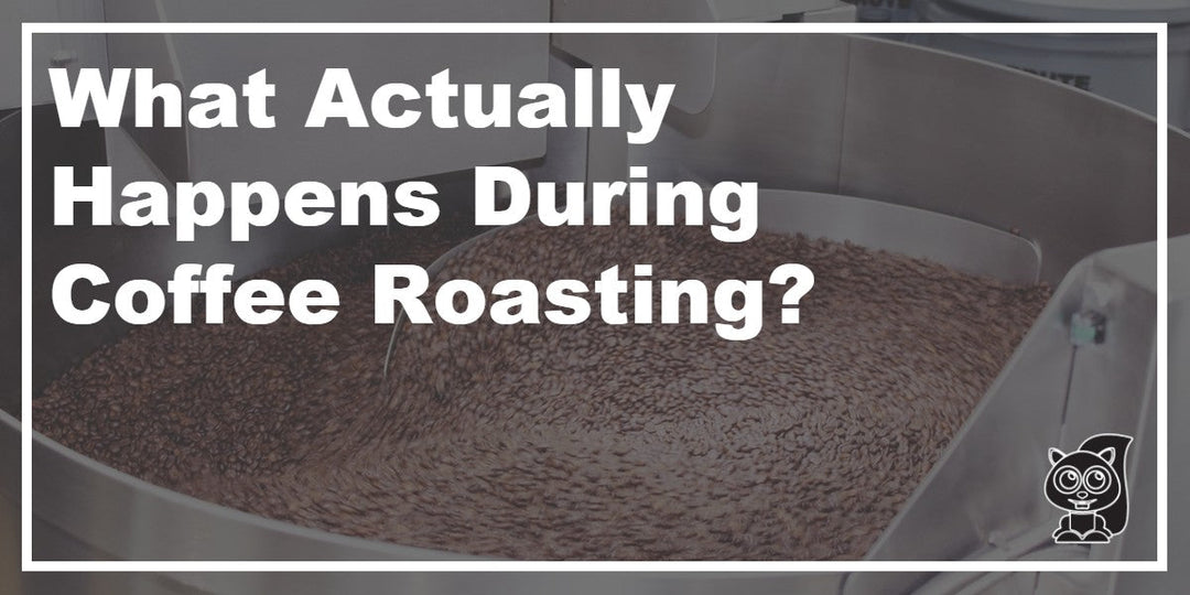 What Actually Happens During Coffee Roasting?