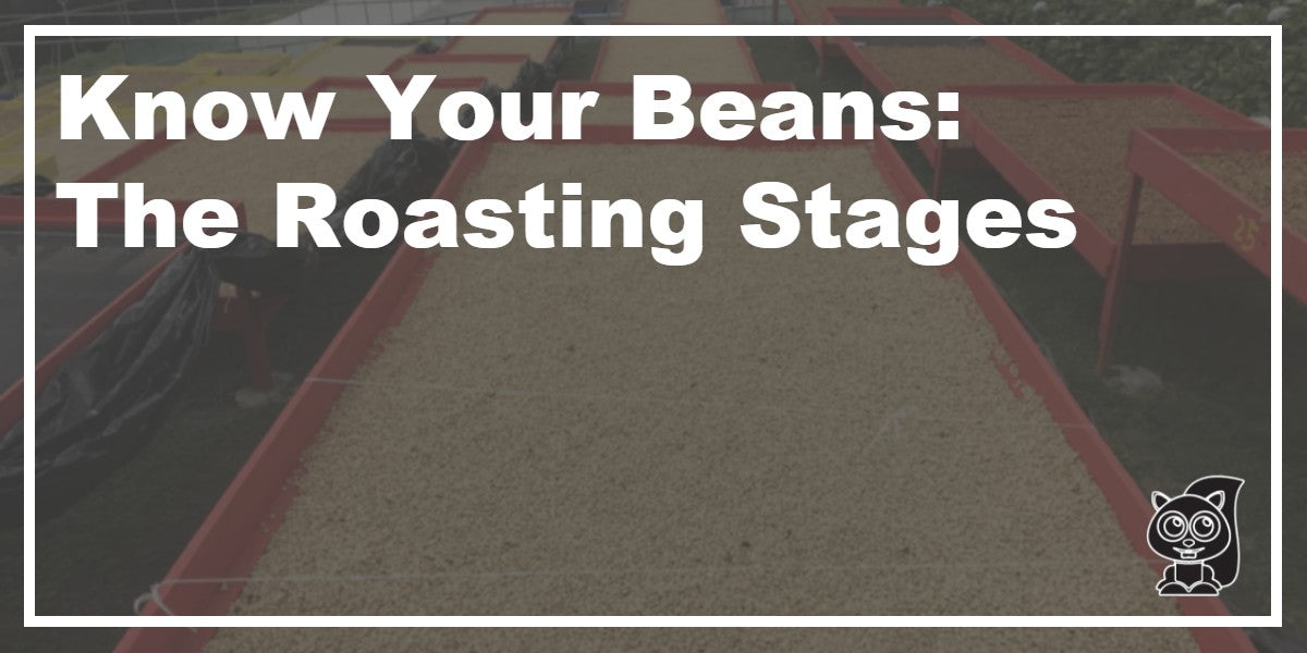 Know Your Beans: Roasting Stages – Koffee Kult