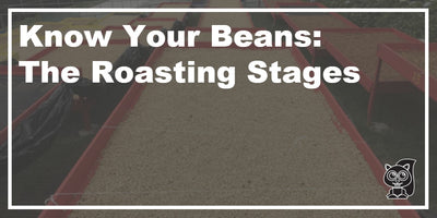 Know Your Beans: Roasting Stages