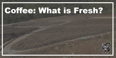 Coffee: What is Fresh?