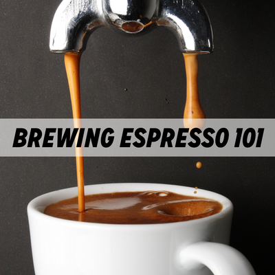 Brewing 101 Espresso Machine