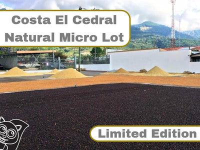 Costa Rica Micro Lot – Limited Edition