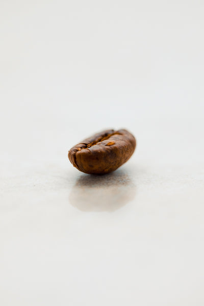 Coffee Myth Debunked: Oily Coffee