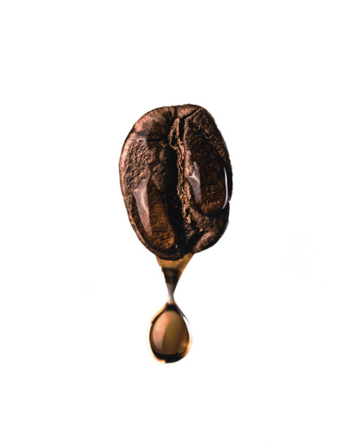 Does oily coffee = fresh coffee?