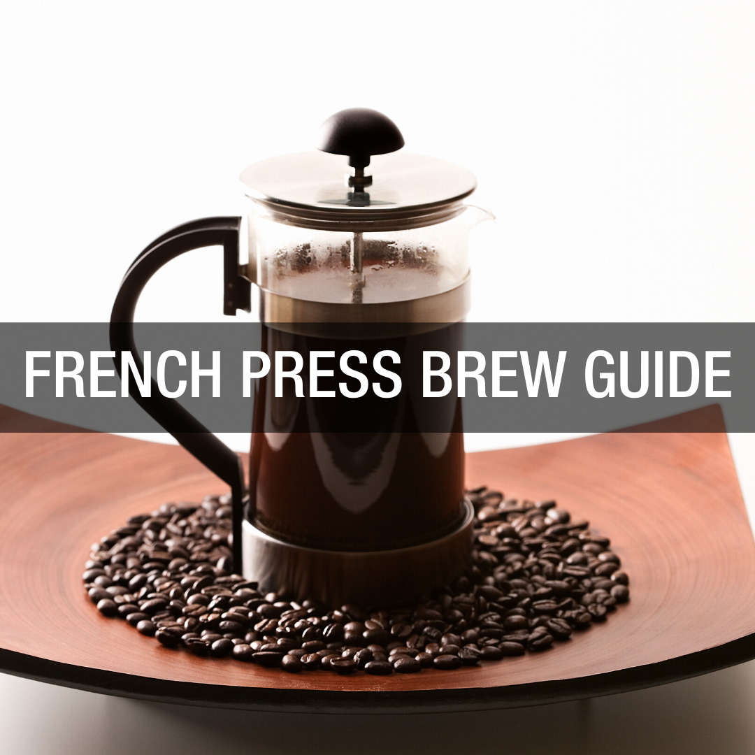 How to Brew: French Press 101