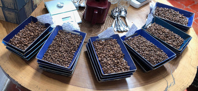 Best Selling Coffees in display trays