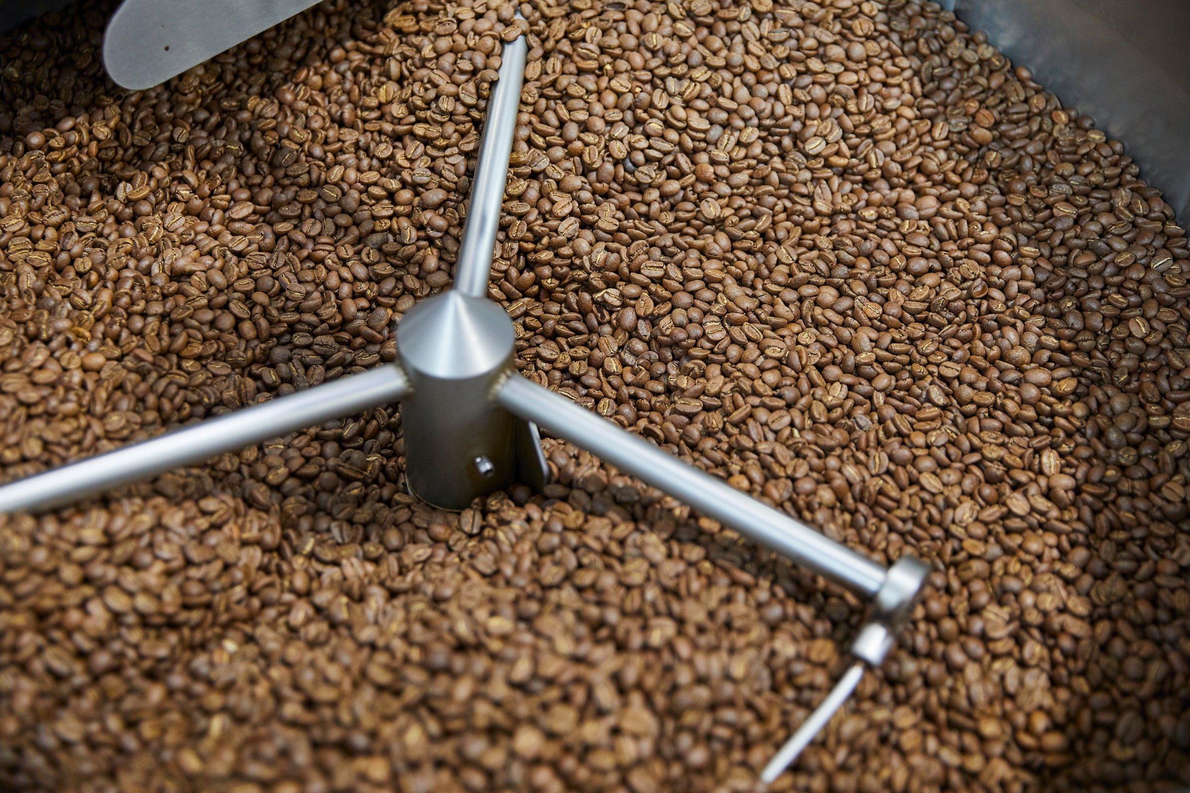 coffee in roasting cooler