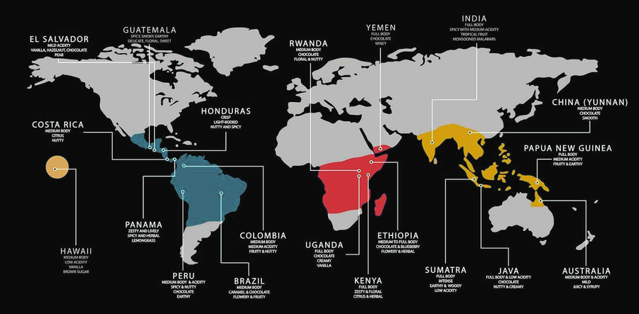 Your Next Favorite Coffee Is One Quiz Away