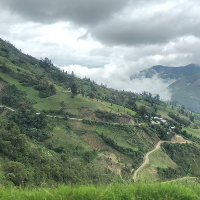 coffee mountians