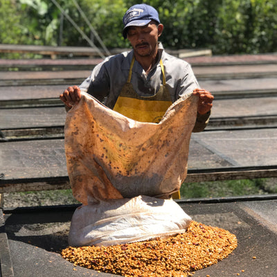 LAS LAJAS Cumbres del Poas Black Honey Costa Rica