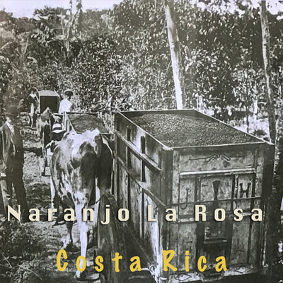 La Rosa Coffee logo