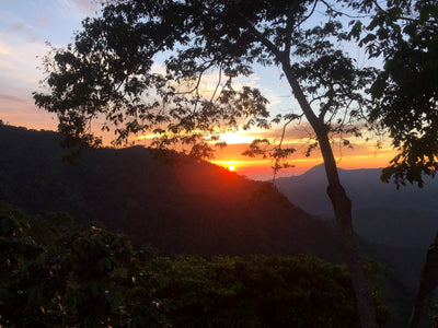 Colombia Sierra Nevada Finca La Cabaña