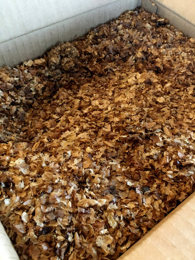 coffee chaff