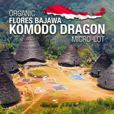 Organic Flores Bajawa Komodo Dragon Micro-lot