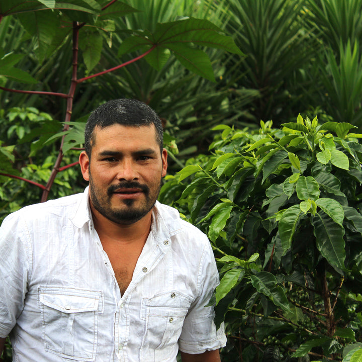 Honduras Coffee Producer