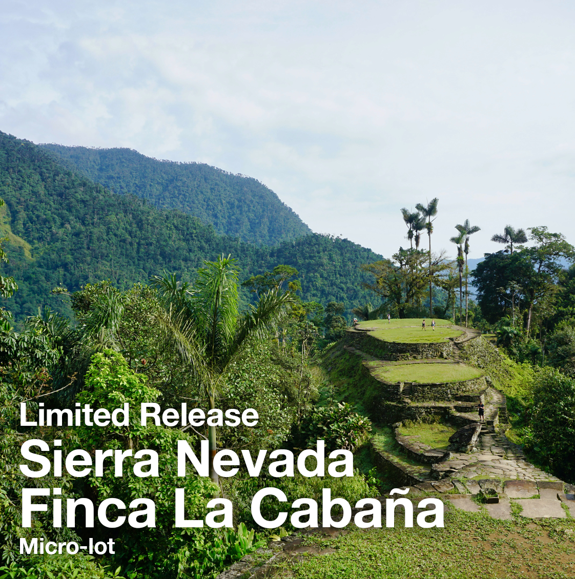 Colombia Sierra Nevada Finca La Cabaña