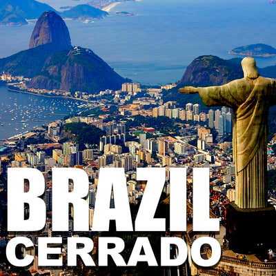 Brazil coffee logo