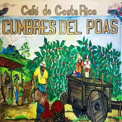 Cumbres Coffee logo